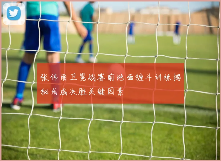 张伟丽卫冕战赛前地面缠斗训练揭秘或成决胜关键因素